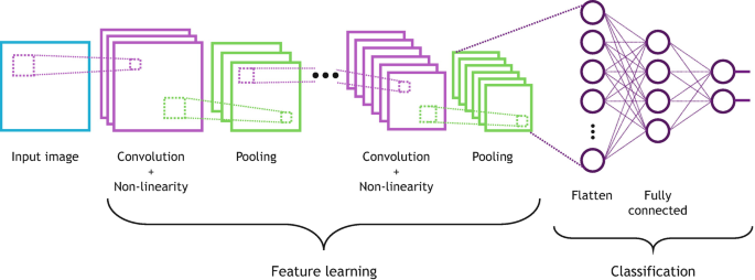 Deep Learning: Basics and Convolutional Neural Networks (CNNs) |  SpringerLink
